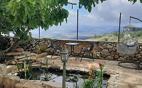Relaxed Garden Apartment With Galilee Sea View 1
