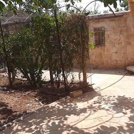 צפת Relaxed Garden Apartment With Galilee Sea View 1 מראה חיצוני תמונה