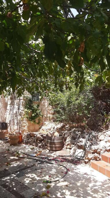 צפת Relaxed Garden Apartment With Galilee Sea View 1 מראה חיצוני תמונה