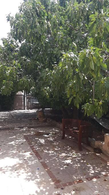 צפת Relaxed Garden Apartment With Galilee Sea View 1 מראה חיצוני תמונה